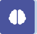 courses